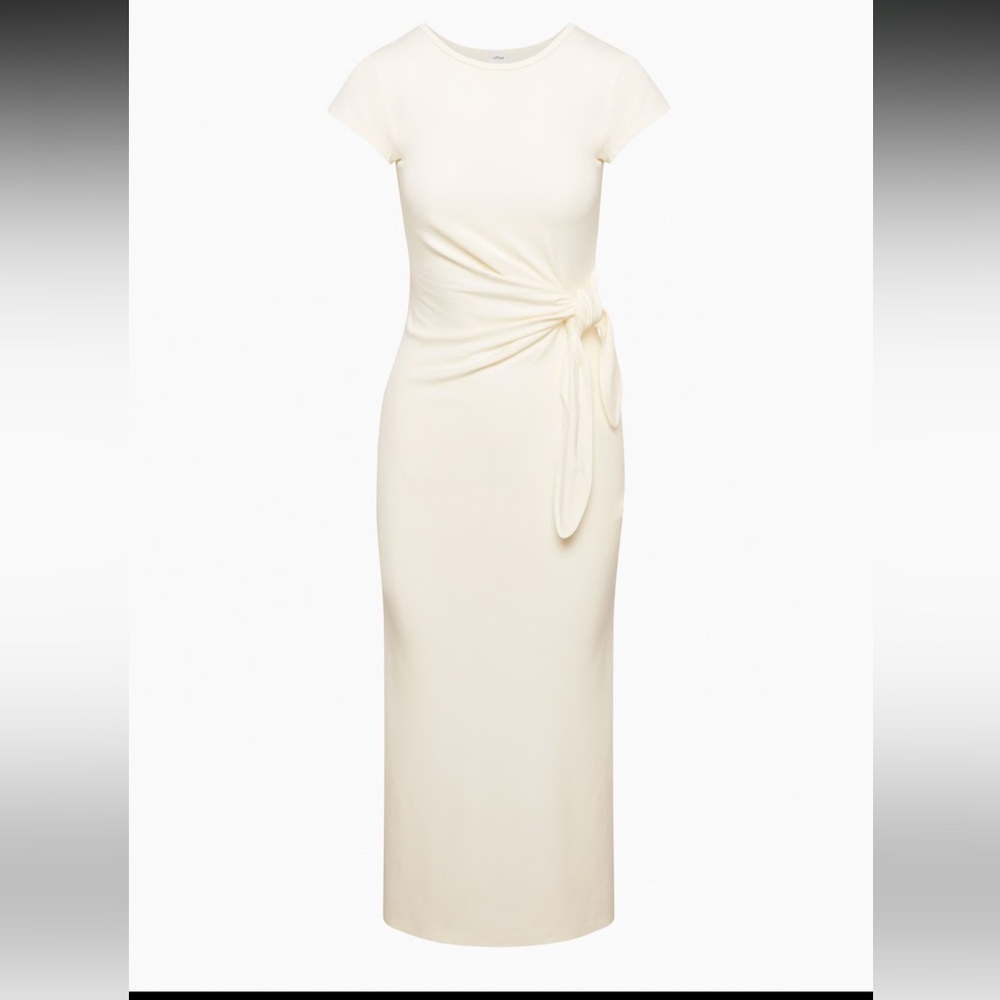 Aritzia Wilfred Fortune Maxi Dress